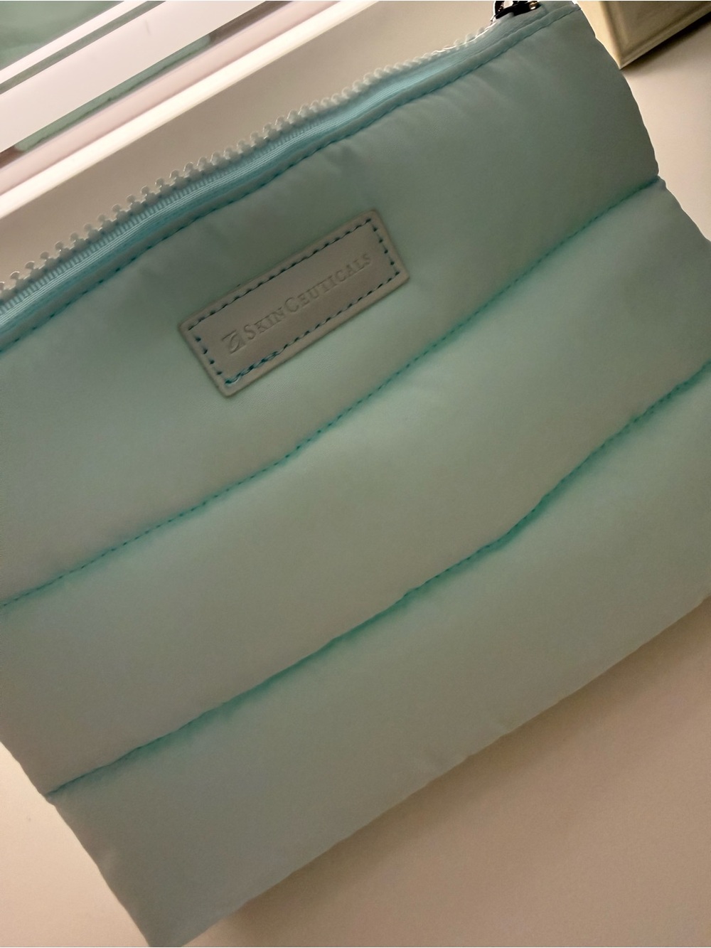 Skin Ceuticals Padded Light Aqua Cosmetic Pouch - Women Bags